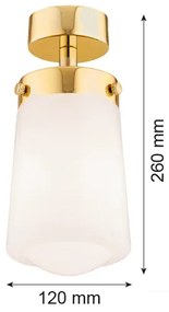 Argon 8005 - Surface-mounted lampadario PASADENA 1xE27/15W/230V oro/bianco