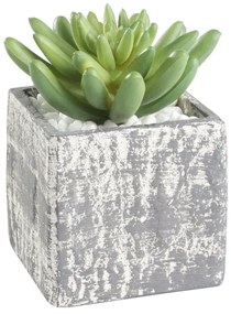 Eglo 428007 - Pianta artificiale CHITOSE 12x7,5 cm in vaso, succulenta