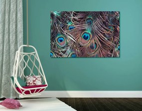 Quadro su tela – Piuma di pavone