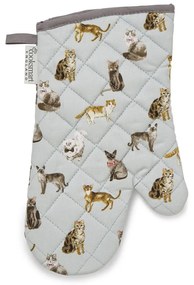 Set di strofinacci con grembiule e guanto da forno Curious Cats - Cooksmart ®