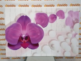 Quadro su tela – Orchidea su sfondo astratto