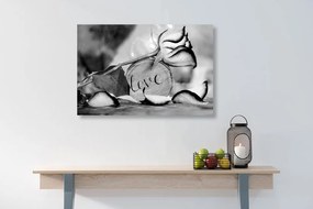 Quadro su tela – Dichiarazione romantica in bianco e nero Love