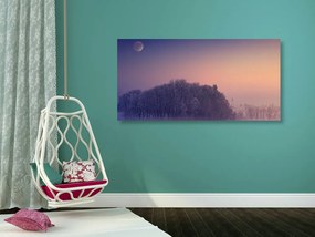 Quadro su tela – Luna piena sopra il villaggio
