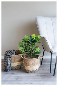 Pianta artificiale Skimmia - House Nordic