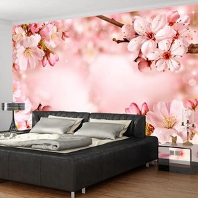 Fotomurale adesivo  Magical Cherry Blossom  Larghezza x Altezza Home decor 98x70