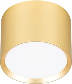 Brilagi - LED Faretto SMOOTH 1xGX53/15W/230V dorato