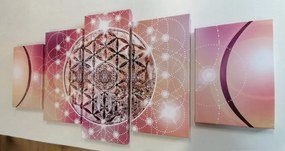 Quadri 5 pezzi – Mandala affascinante