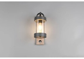 Illuminazione esterna con sensore di movimento da parete (altezza totale 33 cm) Sambesi – Trio