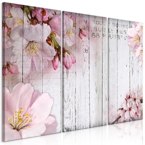 Quadro Flowers on Boards (3 Parts)  Colore Rosa, Dimensioni e Misure 120x80