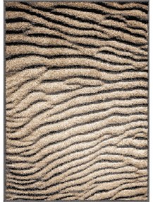 Tappeto marrone 160x220 cm Avanti - FD