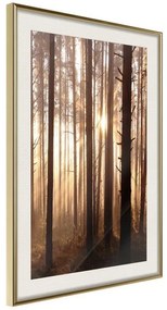 Poster  Morning in the Forest  Cornice Quadri Cornice d'oro con passe-partout, Larghezza x Altezza Home decor 40x60