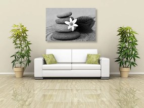 Stampa su tela – Fiore e pietre nella sabbia in bianco e nero