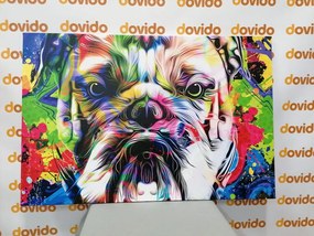 Quadro su tela – Bulldog pop-art