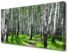 Quadro su tela Erba Alberi Natura 100x50 cm