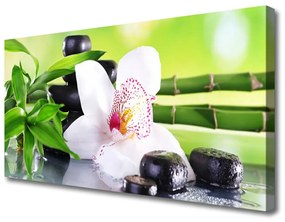 Quadro su tela Foglie di bambù dell'orchidea 100x50 cm