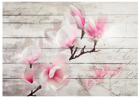 Fotomurale Delicatezza della magnolia