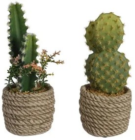 Pianta Decorativa EDM 808447 Cactus 28 cm