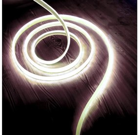 Striscia LED LED/50W/12V 5 m 6500K