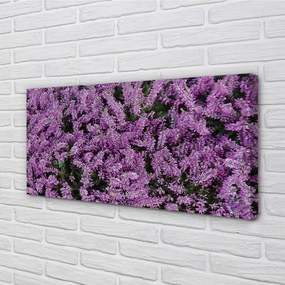 Quadro su tela Fiori viola 100x50 cm