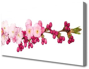 Quadro su tela Ramoscello di fiori di ciliegio 100x50 cm