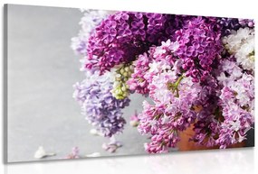 Stampa su tela – Lilla in tonalità rosa