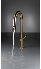 Deante BQO_R72M - Rubinetto lavello con doccetta estraibile OLFATO pettinato oro