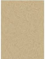 Eijffinger Carta da parati Embrace 5 - 324052