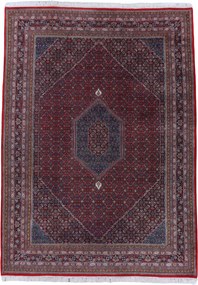 Bidjar Tappeto orientale 250x350 (Indian) Annodato A Mano