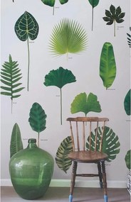 Fotomurale ESTA Foglie, Verde 189X279 cm