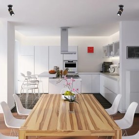 Luce Spot VIDAR 1xGU10/25W/230V nero