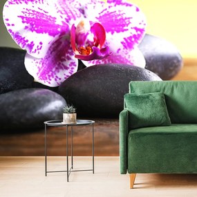 Carta da parati autoadesiva – Orchidea e pietre nere