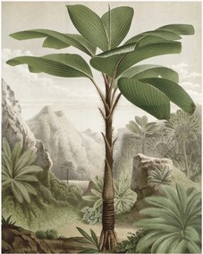 Carta da parati in tessuto non tessuto Banana Tree