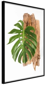 Poster  Leafy Etude  Cornice Quadri Cornice nera, Larghezza x Altezza Home decor 20x30