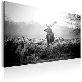 Quadro Black and White Deer