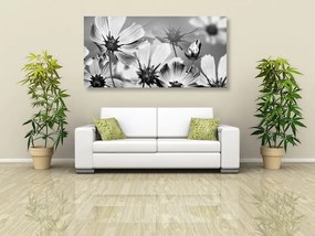Quadro su tela – Fiori da giardino in bianco e nero