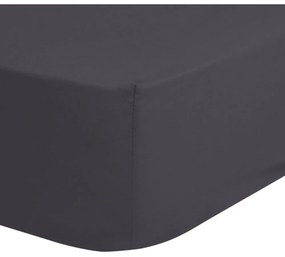 Lenzuolo elastico in cotone grigio scuro, 90 x 200 cm - Good Morning