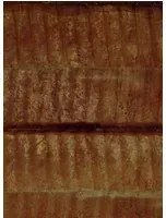 CMO Paris Carta da parati Hurricane - Bronze