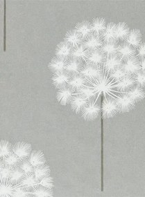 Pusteblumen Tapete Amity von Harlequin - Silver/ Chalk