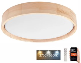 Brilagi - Lampada LED da soffitto MANAROLA SMART LED/24W/230V + DO Tuya