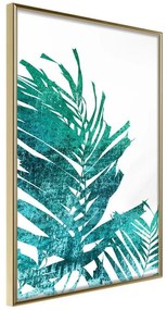 Poster  Teal Palm on White Background  Cornice Quadri Cornice d'oro, Larghezza x Altezza Home decor 30x45