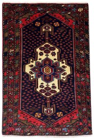 Hamedan Tappeto 160x110 (Iran)