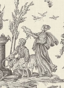 Lewis & Wood Carta da parati Toile Baptiste - Douce Noir