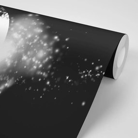Carta da parati – Simbolo Yin e Yang in bianco e nero
