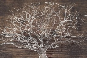 Stampa su tela – Corona dell'albero su sfondo di legno