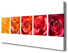 Quadro su tela Rose, fiori, piante 100x50 cm