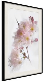 Poster  Scent of Spring  Cornice Quadri Cornice nera con pass-partout, Larghezza x Altezza Home decor 20x30