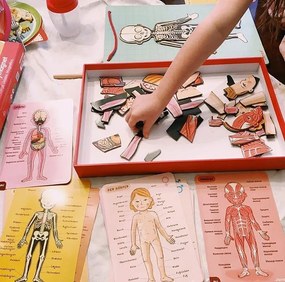 Bodymagnet - Lavagna magnetica - corpo umano