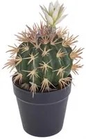 Set 3 Cactus Artificiale con Fiori in Vaso Altezza 19 cm