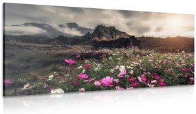 Quadro su tela – Prato di fiori in fiore