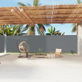 Tenda Da Sole Laterale Retrattile Antracite 200x1200 Cm /
